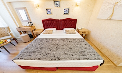 Şehir Manzaralı Standart French Oda 